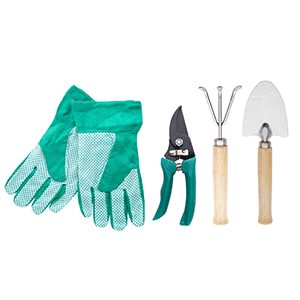 �������� ����������� JARDIN-2