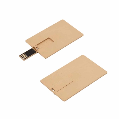 USB Flash Drive Eco card