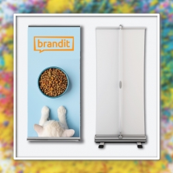 ������ � ������