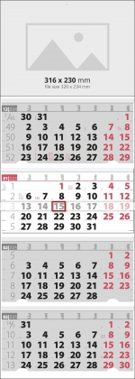  4    /  [next_year]