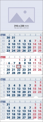  4    [next_year]
