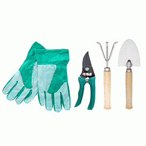 �������� ����������� JARDIN-2