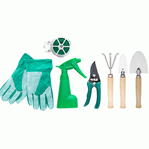 �������� �����������