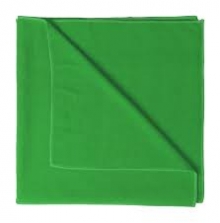 AP741657-07, зелена Lypso кърпа