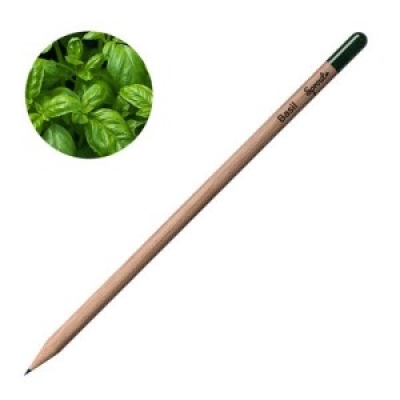 Молив със семена - Босилек