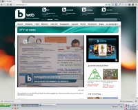 онлайн репутация, интернет репутация, Мартин Каменов, Максофт Нет, bTV, бтв