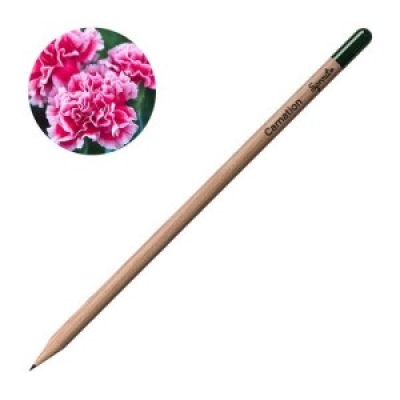 Молив със семена - Карамфил