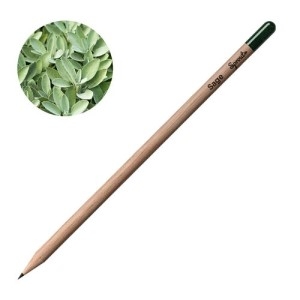 Молив със семена - Градински чай